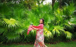 激情交叉点2完整版